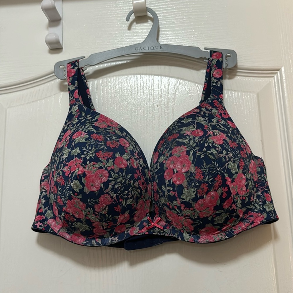 Lane Bryant Boost plunge bra size 38DD